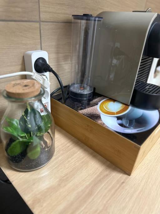 Le Cocon Canetois Ngoại thất bức ảnh